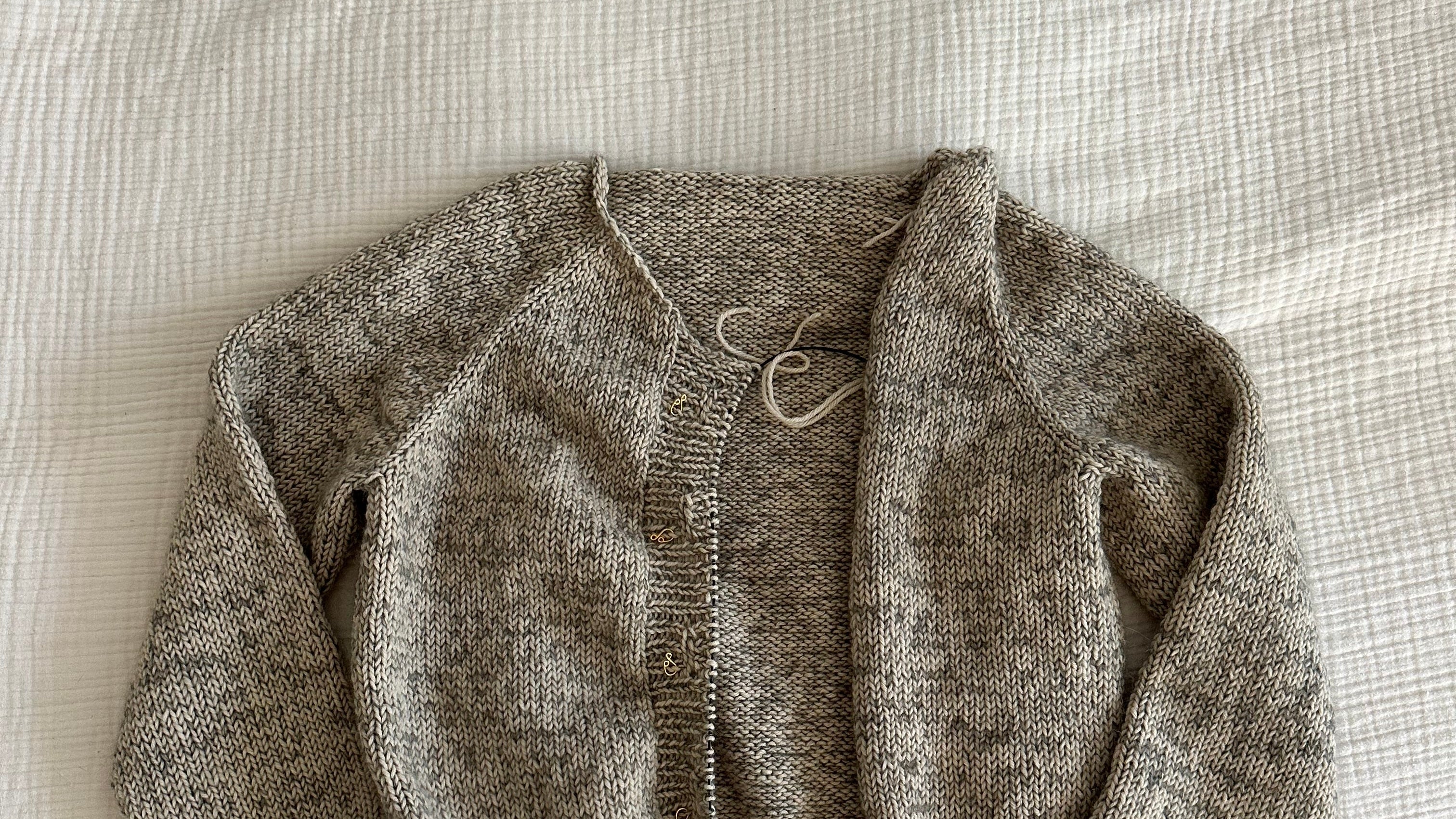Cardigan Work In Progress